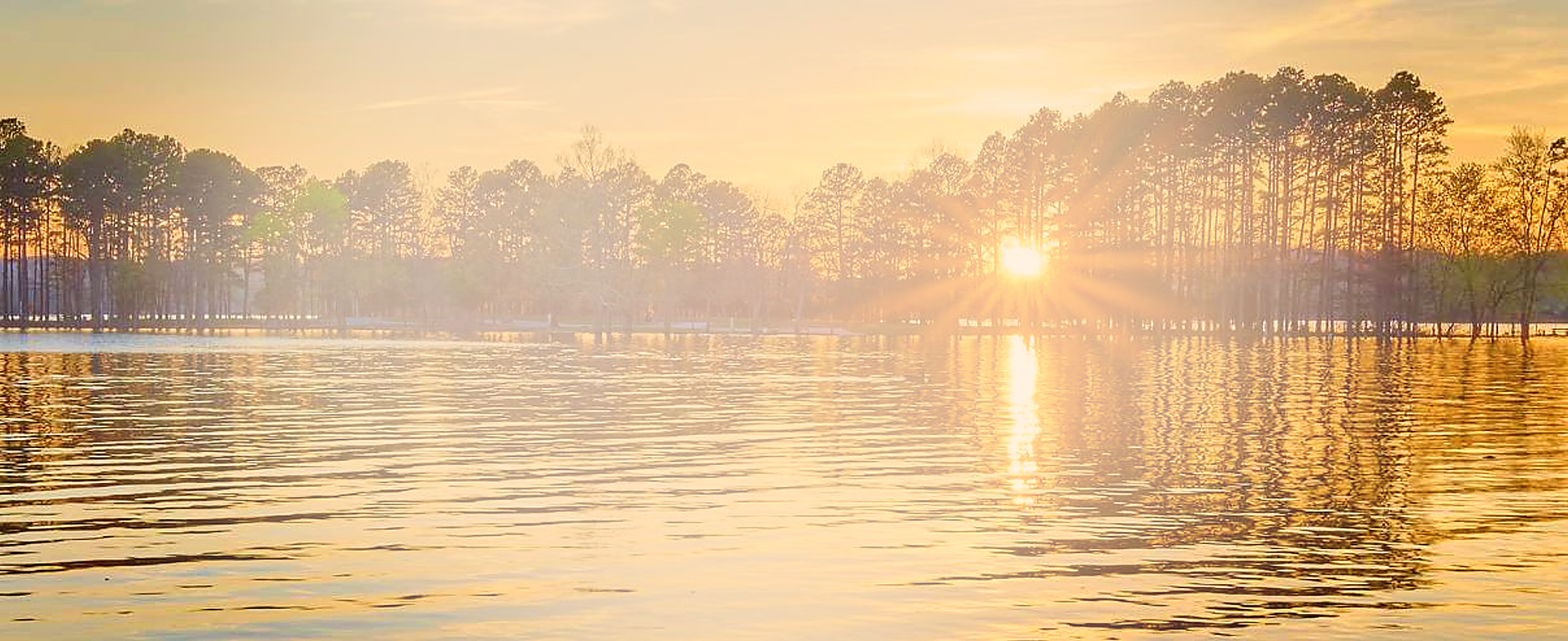 Welcome to Global Therapy Inc.